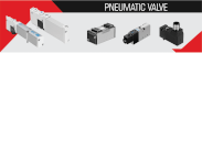 Pneumatic Valve