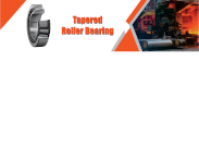 Tapered Roller Bearing